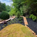 Apex Outdoors professional turf installation for a healthy backyard lawn