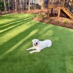 Apex Outdoors - Sod Turf Landscape 20